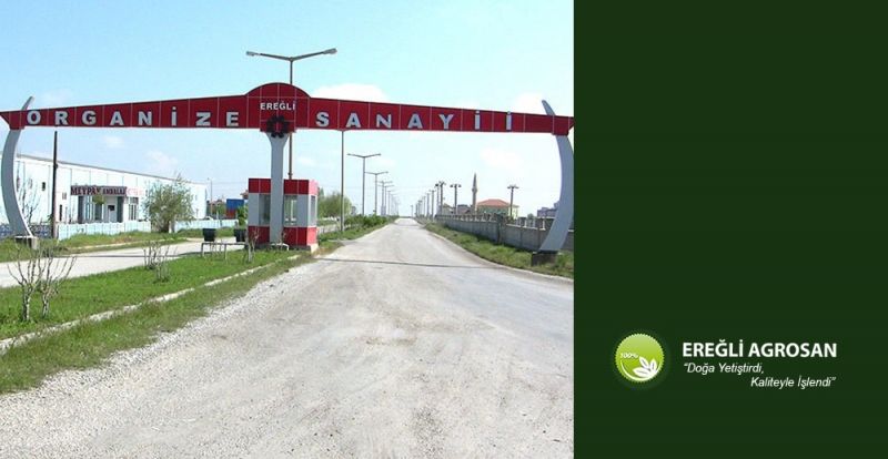 Ereğli Yatırımı Daha da Büyüyor