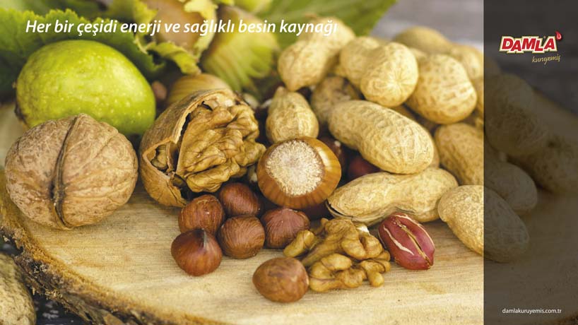 Damla Kuruyemiş