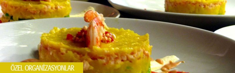 AVRUPA CATERING