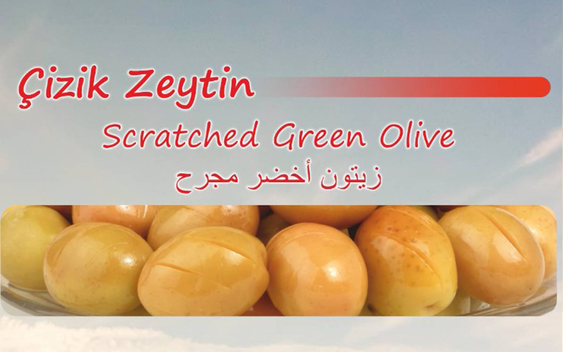 AYDAR ZEYTİNCİLİK