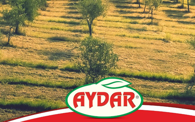 AYDAR ZEYTİNCİLİK