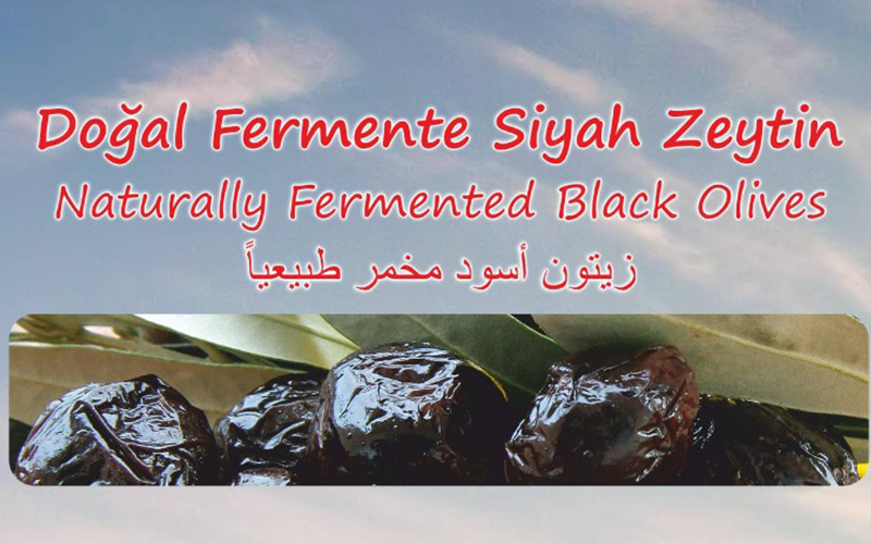 AYDAR ZEYTİNCİLİK