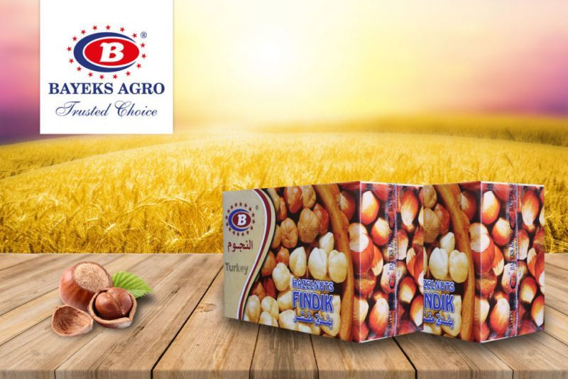 BAYEKS AGRO