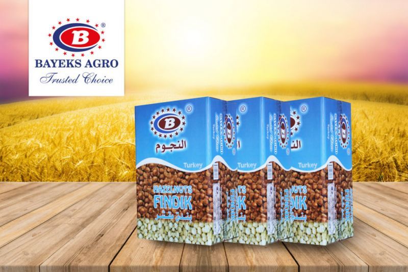 BAYEKS AGRO