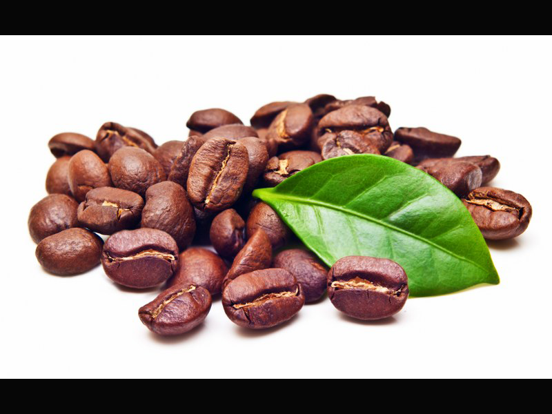 Листья кофе фото Листья кофе фото