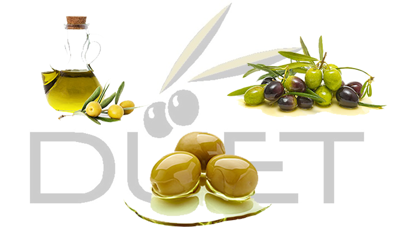 DÜET 