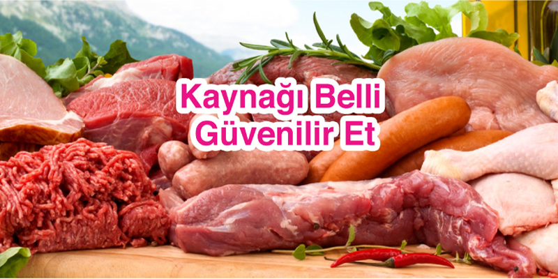 EGE ŞOK 