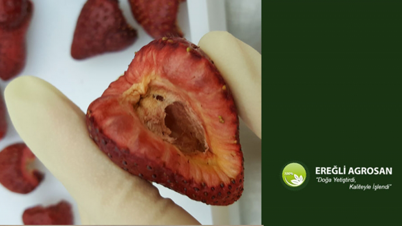 EREĞLİ AGROSAN