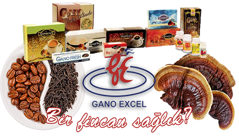 GANO EXCEL