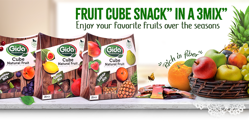 GIDA INTERNATIONAL