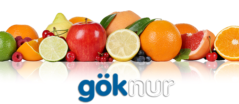GÖKNUR GIDA