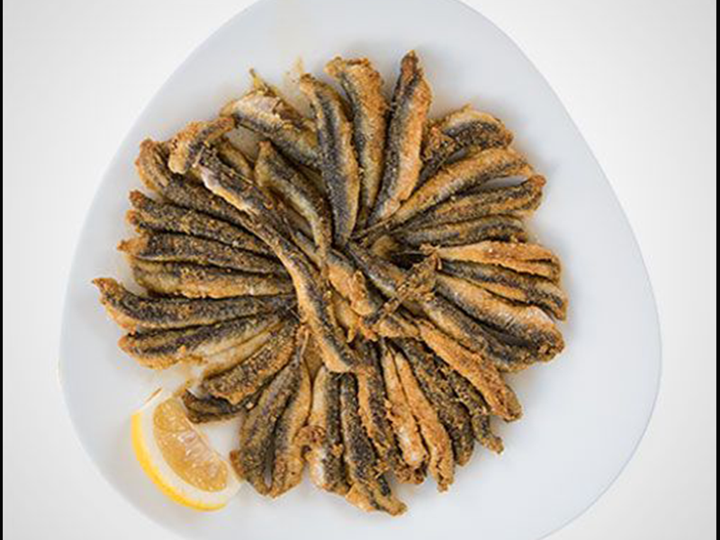 HAMSİ FINGER