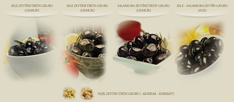 IRMAK ZEYTİN