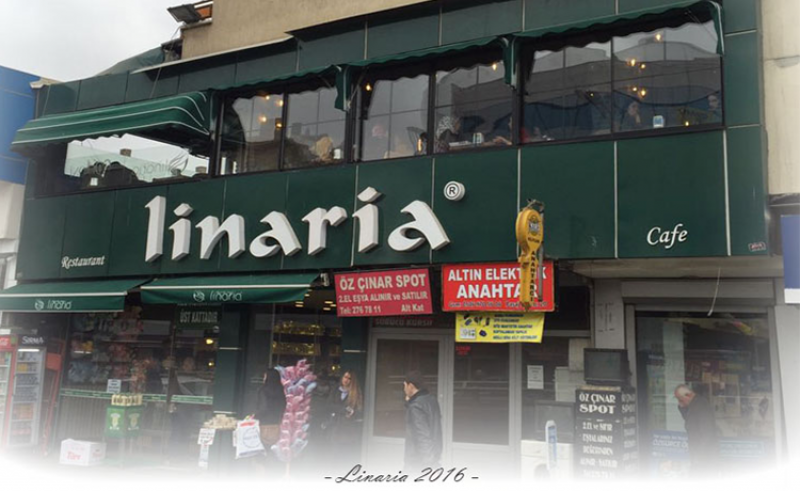 LİNARİA