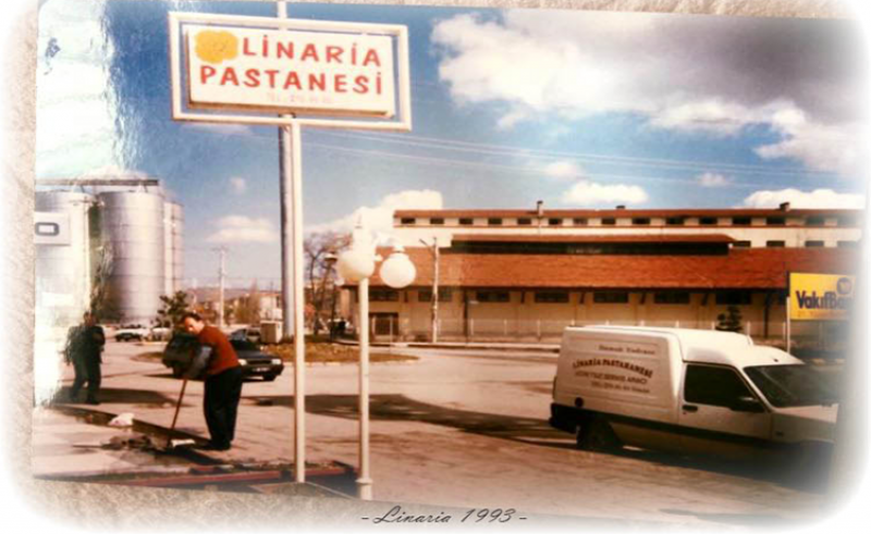LİNARİA