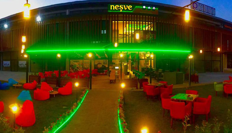 NEŞVE