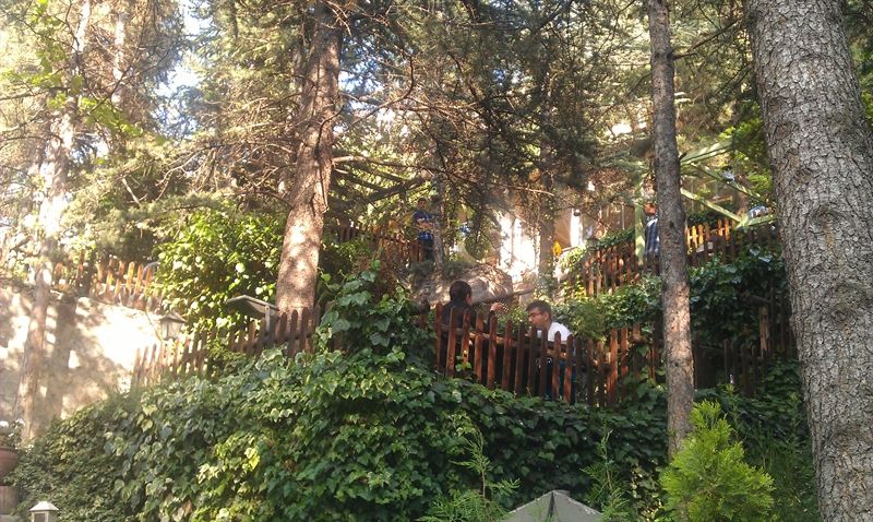 PAPAZIN BAĞI