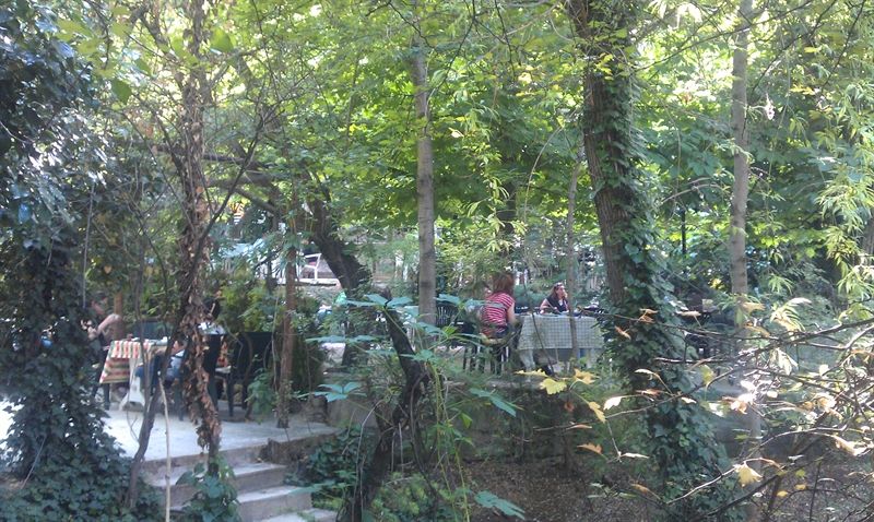 PAPAZIN BAĞI