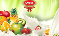 ANTAT