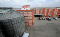 BEŞLER UN