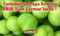 ÇARMAR