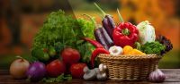 DAFNE CATERING