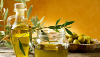 DALGIÇ ZEYTİNCİLİK