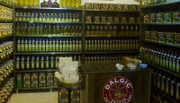 DALGIÇ ZEYTİNCİLİK