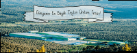 FORA ZEYTİN