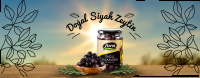 FORA ZEYTİN