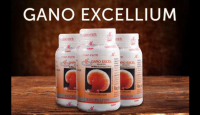 GANO EXCEL