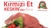 KESKİN GRUP