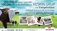 KESKİN GRUP