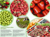 ÖZTÜRK SÜPERMARKET