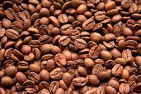PADAM COFFEE SHOP