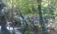 PAPAZIN BAĞI