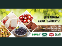 PEYBA 