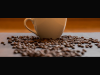 ROSE BERRY COFFEE'S