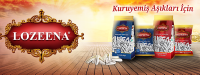 SUTER INTERNATIONAL
