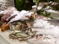 TRİLYE RESTAURANT