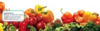 TUEN CATERING
