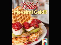 WAFFLE DÜNYASI