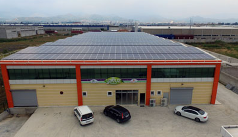 YAVUZ İNCİR